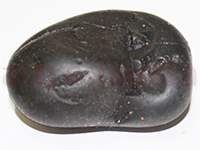Shaligram 10711 100gm